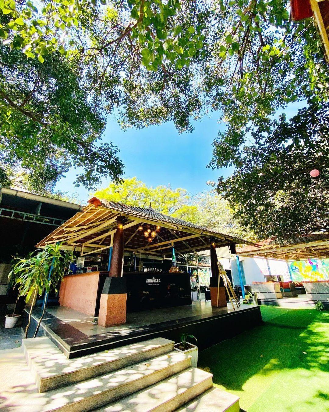 PEBBLE The Jungle Lounge photo 1