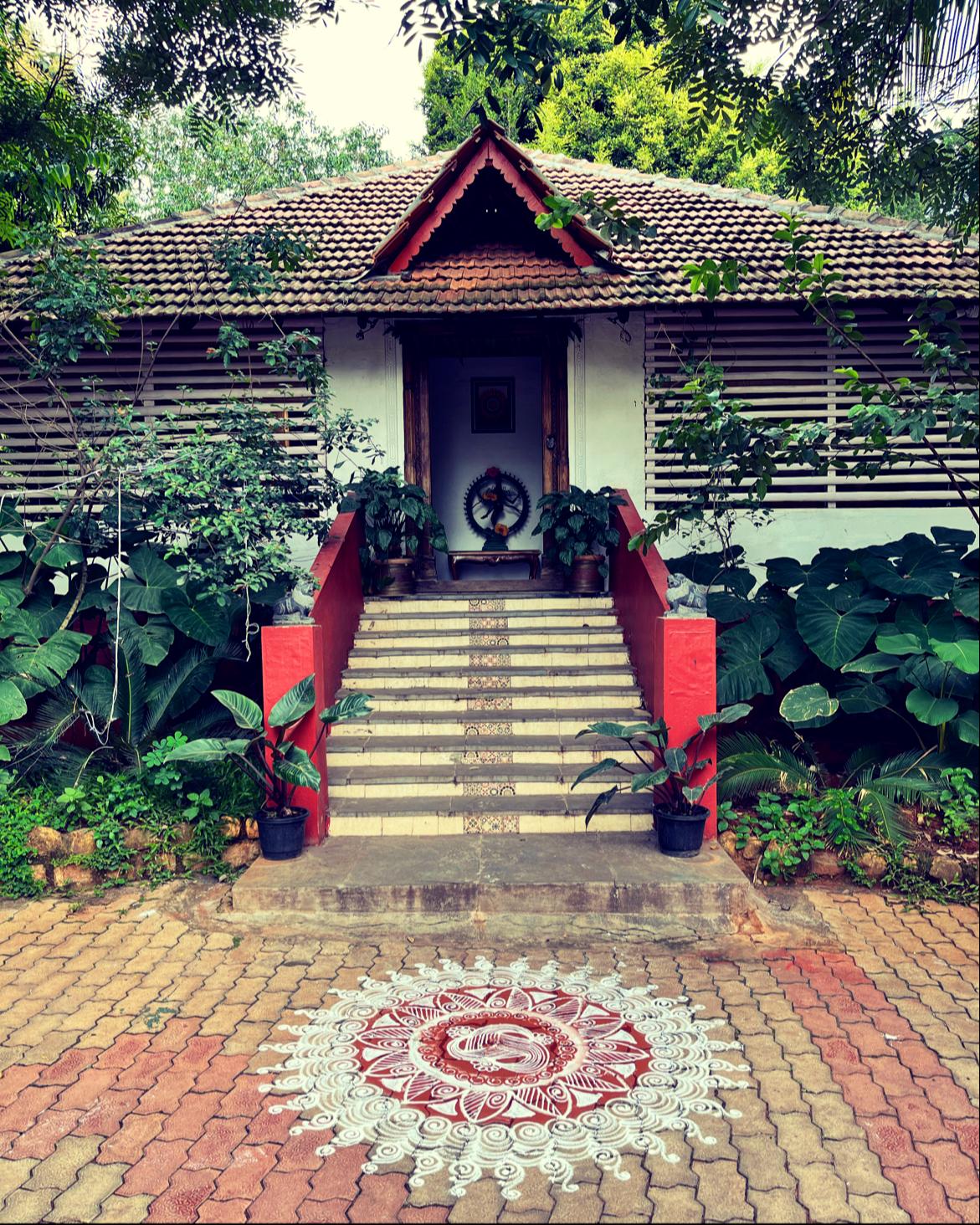 The Peacock Grove photo 1
